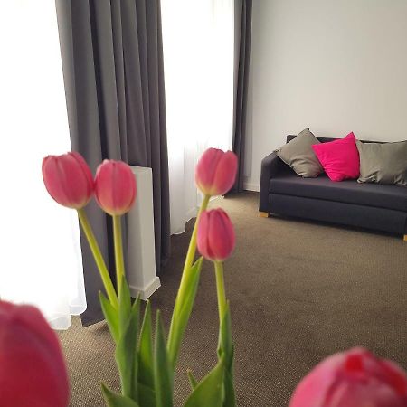 Villa Julia ミエンジズドロイェ エクステリア 写真